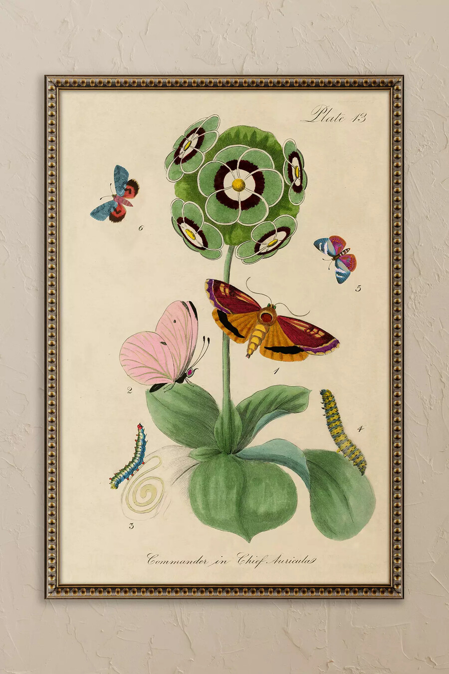 inramad väggkonst med blomma av wyatt landesmann