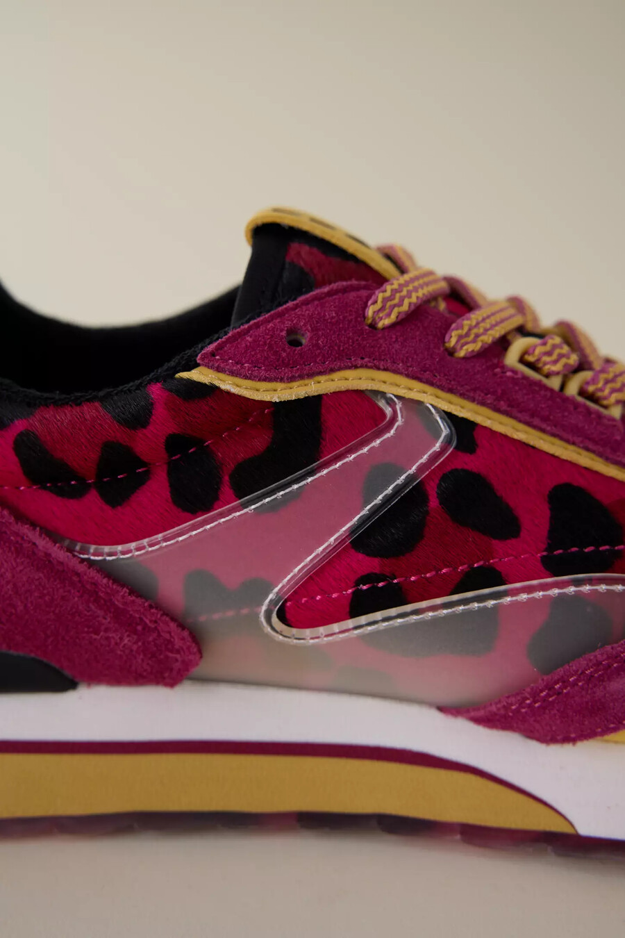 hoff art trainers