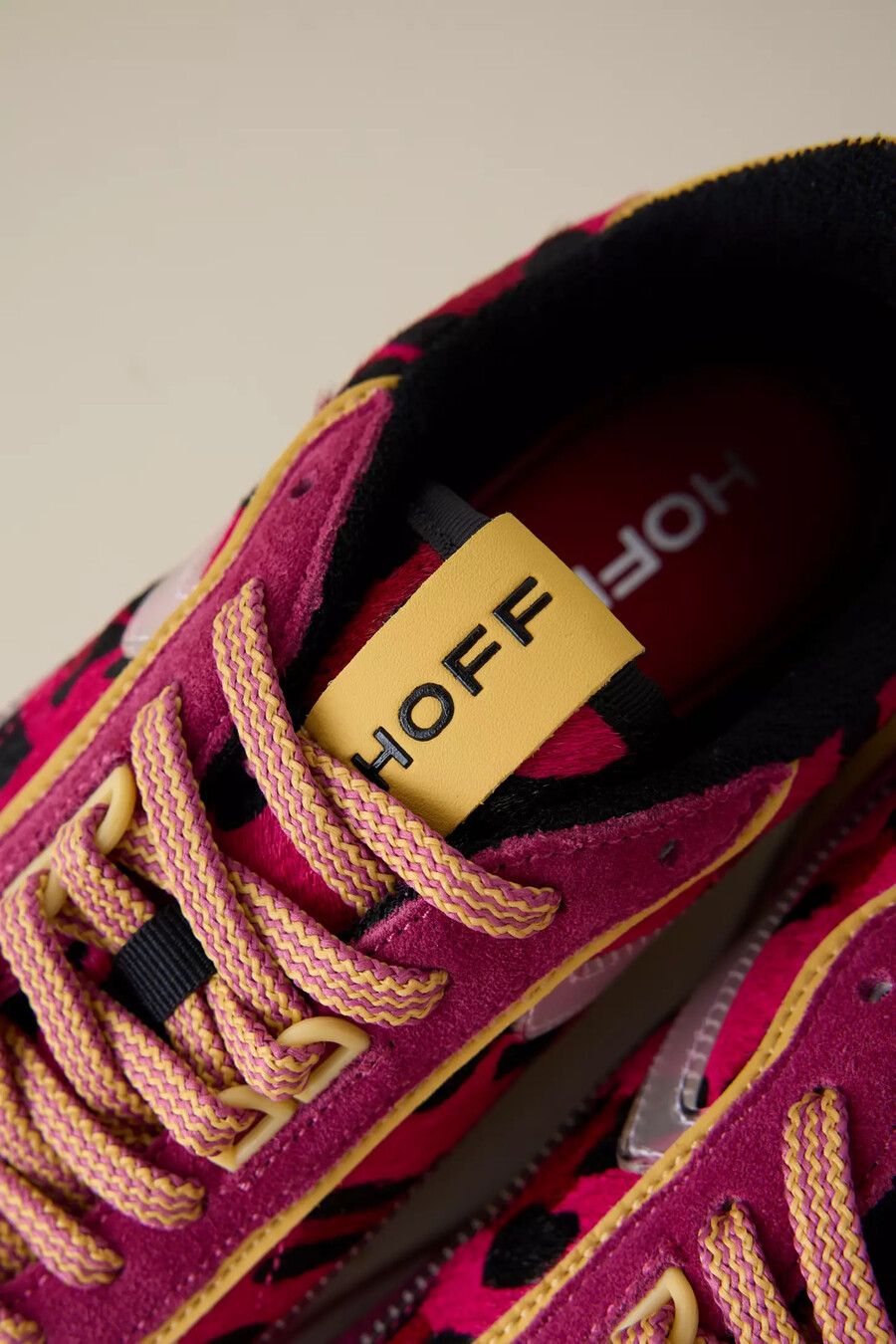 hoff art trainers