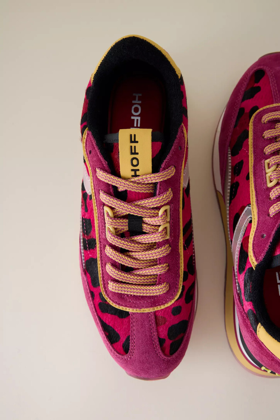hoff art trainers