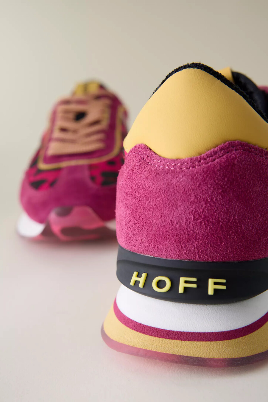 hoff art trainers